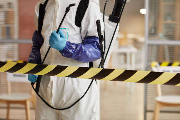 Professional Sewage Cleanup technician working in New Munich, MN
